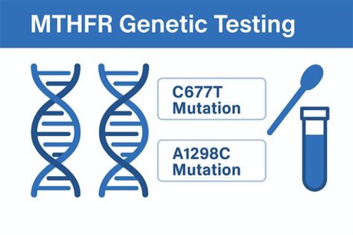 How common is Mthfr?